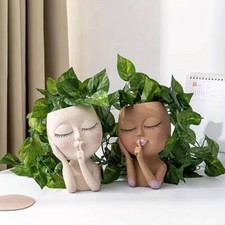 Pot face plant - plant, planter