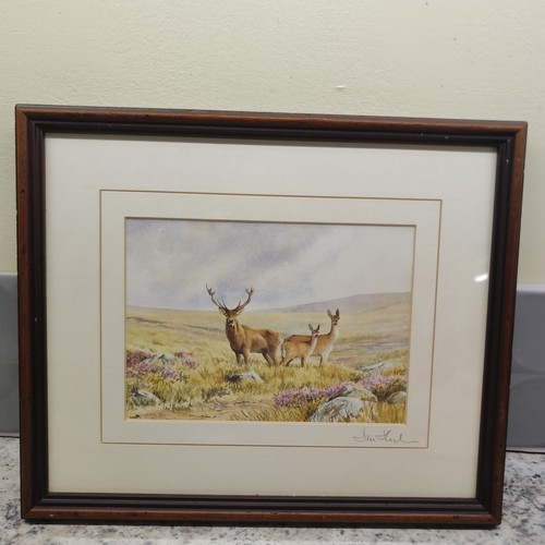 Ian hudson signed watercolour - ian,