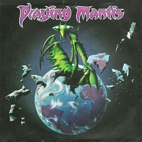 Praying mantis - praying,