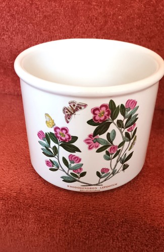 Portmeirion pottery plant - , pot