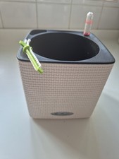 Lechuza self watering planter