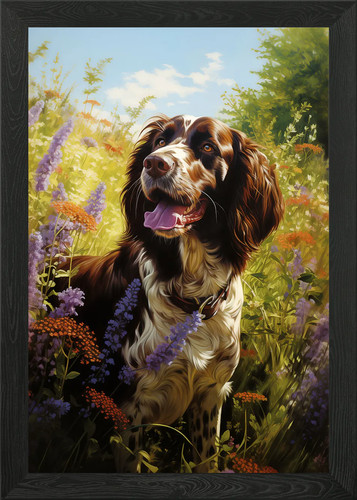 English springer spaniel - english,
