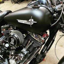 🔥Genuine Harley Vintage