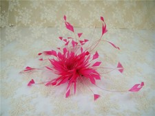 Stripped Coque Feather Goose