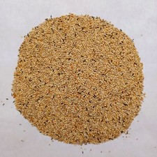 Foreign finch mix - foreign,