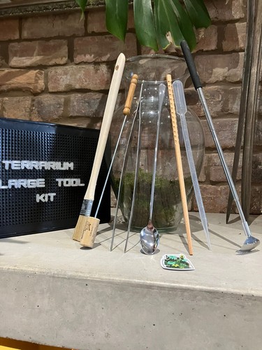 Terrarium tool kit - terrarium,