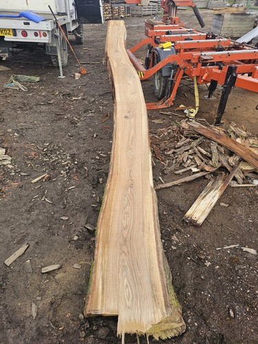 Figuered green oak beam - oak,