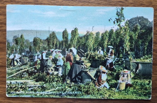 Hop picking set home - picking, of