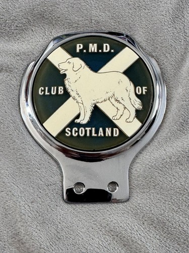 Pmd pyrenean mountain dog club - pyrenean,