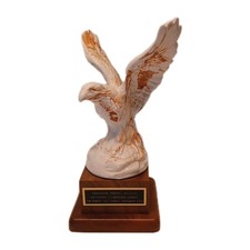 Militaria U S Air force Jag