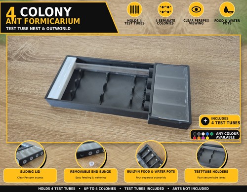 Colony queen ant test tube - 4,