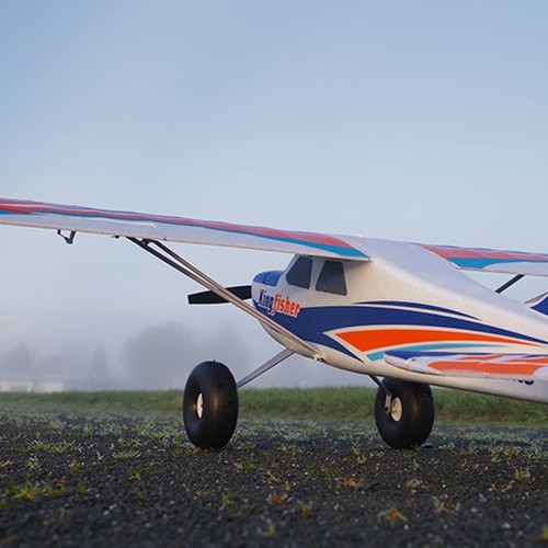 Fms kingfisher artf - kingfisher,