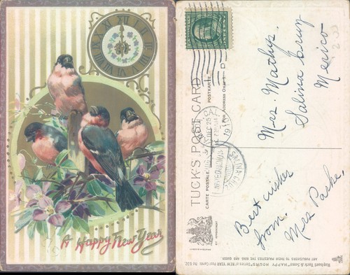 Birds with new - year, greeting