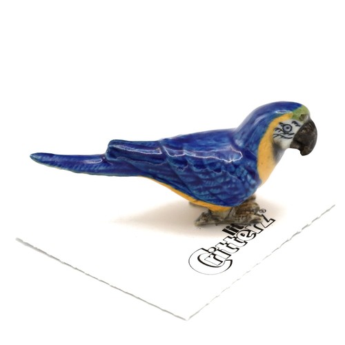 Little critterz parrot blue - critterz, &
