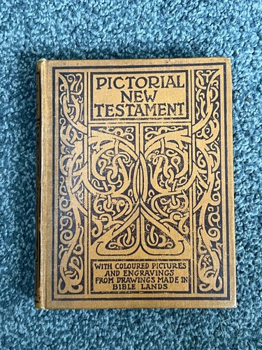 Pictorial new testament the - :,