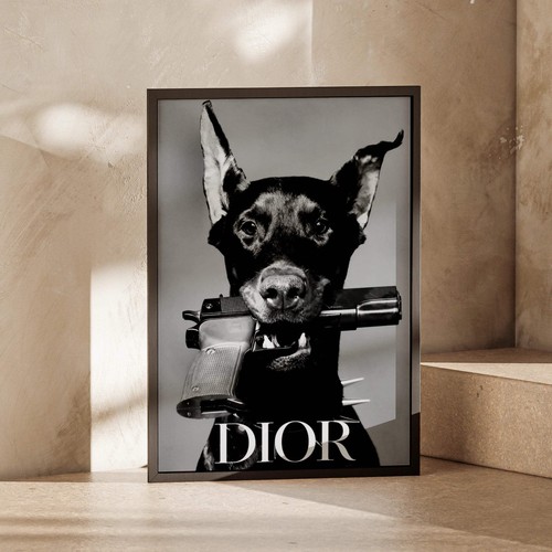 Doberman dog black white - dog, photo