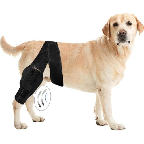 Dog knee brace for hind - dog,