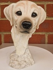 Yellow Labrador Head Lovley  In Detail A Must For Dog Lovers