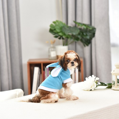 Pet dog keep warm - , clothes