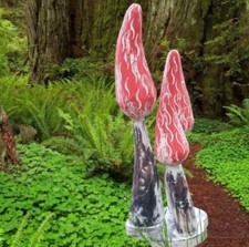 Hand Carved Wooden Red