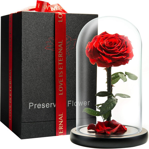 Preserved forever rose - preserved, in