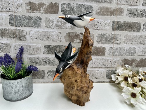 30cm pair diving cliff - pair,