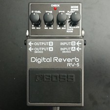 Discontinued - Boss RV-5