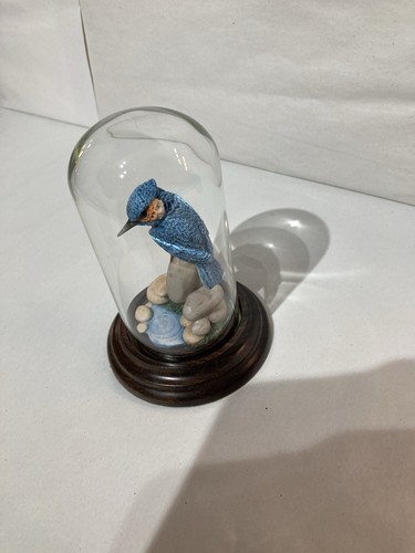 Kingfisher under glass - under, by