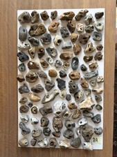 100 natural hag - 100, stones