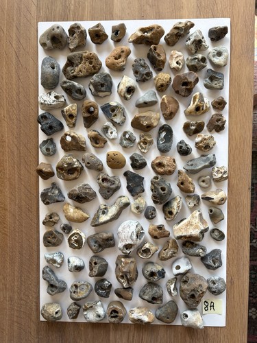100 natural hag stones - 100,