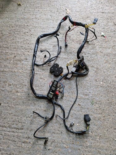 Bmw f650 funduro wiring loom - wiring, /