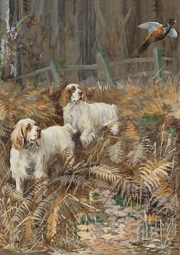 Clumber spaniel dog greeting - dog,