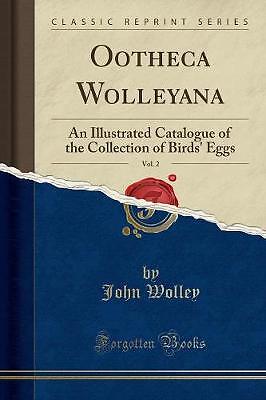 Ootheca wolleyana vol an - ootheca, wolleyana,