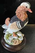 Country Artists Mandarin Duck