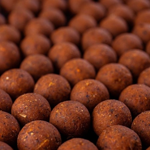 Dna baits secret freezer - baits,