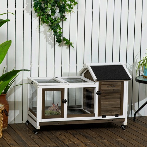 Rabbit hutch with - rabbit,