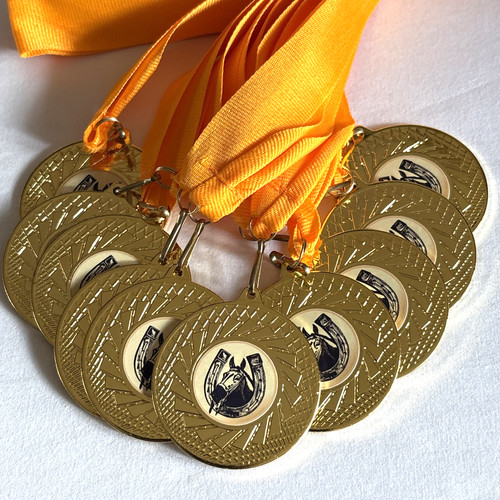 Equestrian horse medals - x,