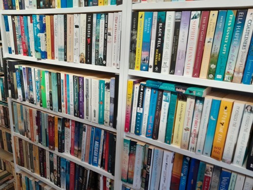 Fiction books bundle - books,