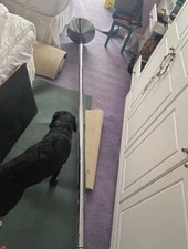 X-Pole XPERT 50MM w/ extensions, static & Spinning Pole Set, Carry Bag And Tools