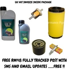 BRIGGS & STRATTON SERVICE KIT
