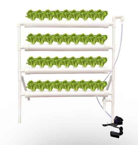 Hydroponic indoor growing - indoor,