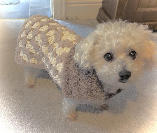 Handmade crochet chenille dog - ,