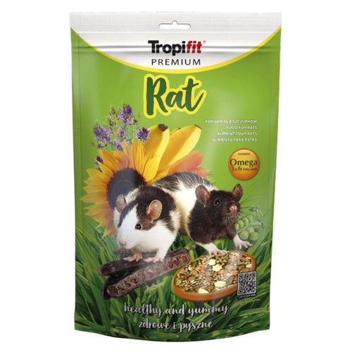 Top quality pet rat - quality, &