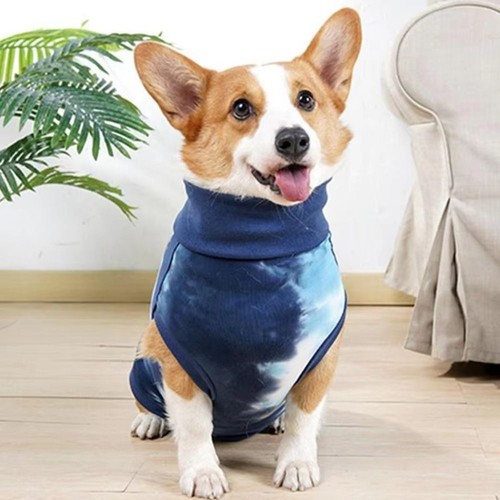 Elastic dog recovery bodysuit - elastic,