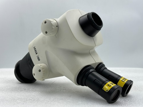 Leica s6d trinocular stereo - trinocular,