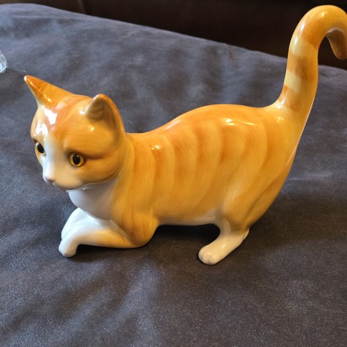 Pottery cat glass - glass, eyes