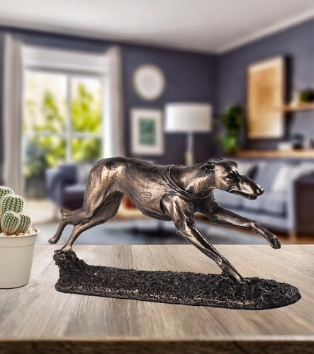 Racing greyhound dog - racing,