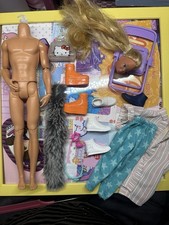 Barbie Lot, Articulated Ken