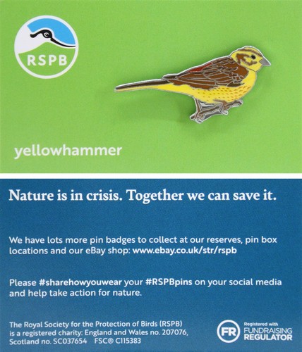 Rspb pin badge - pin, niic