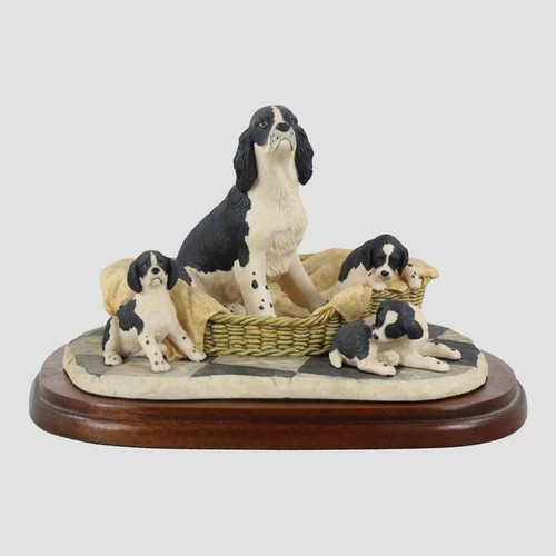 Springer spaniel and pups - springer,